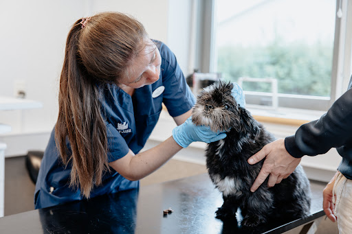 AniCura Family Veterinarians Aars in Aars, Vesthimmerland