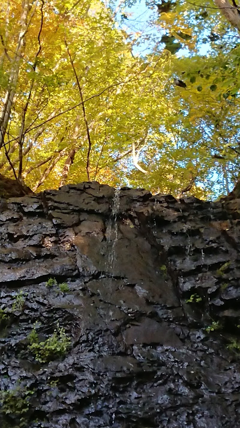樽滝