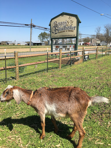 Bergey's Breadbasket