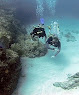Diving shops in Punta Cana