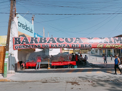 Barbacoa de Actopan - Calz Melchor Ocampo 210, Centro, 42800 Tula de Allende, Hgo., Mexico