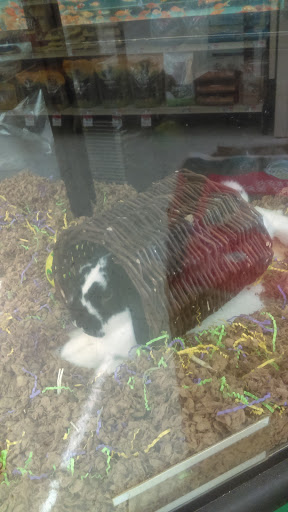 Pet Supply Store «Pet Supplies Plus», reviews and photos, 2155 Delaware Ave, Buffalo, NY 14216, USA