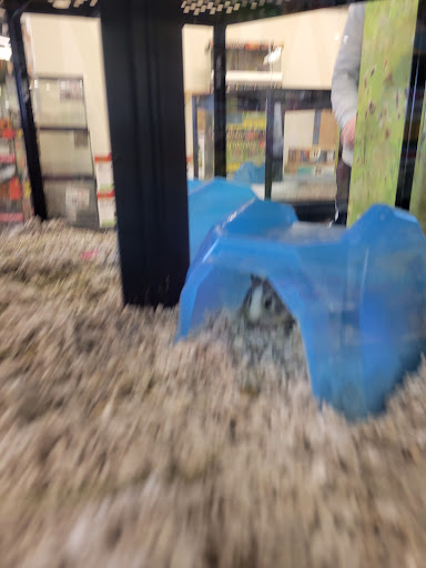 Pet Supply Store «Petco Animal Supplies», reviews and photos, 1933 South Rd, Poughkeepsie, NY 12601, USA