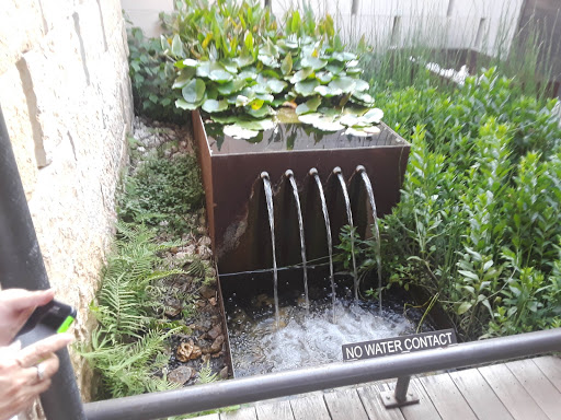 Park «Phil Hardberger Park», reviews and photos, 13203 Blanco Rd, San Antonio, TX 78216, USA