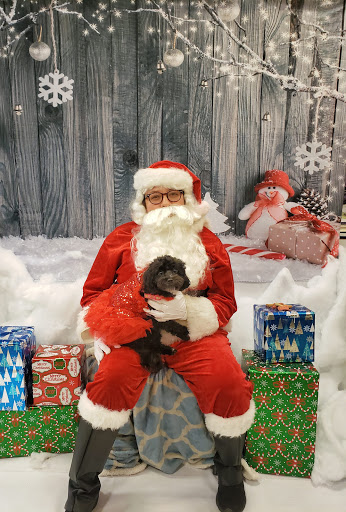 Pet Supply Store «PetSmart», reviews and photos, 2500 Posner Blvd, Davenport, FL 33837, USA