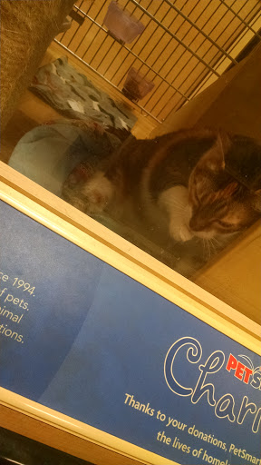 Pet Supply Store «PetSmart», reviews and photos, 14420 Farm to Market 2920, Tomball, TX 77377, USA