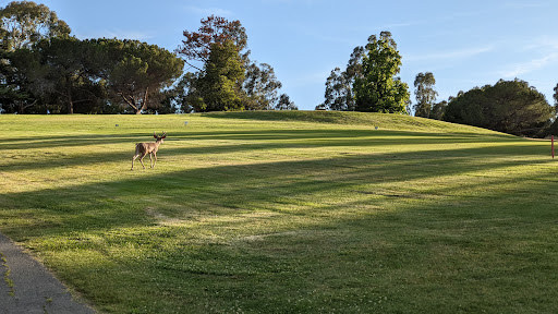 Lake Chabot Golf Course