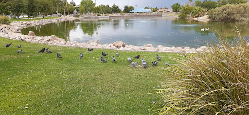 Park «Lorenzi Park», reviews and photos, 3343 W Washington Ave, Las Vegas, NV 89107, USA