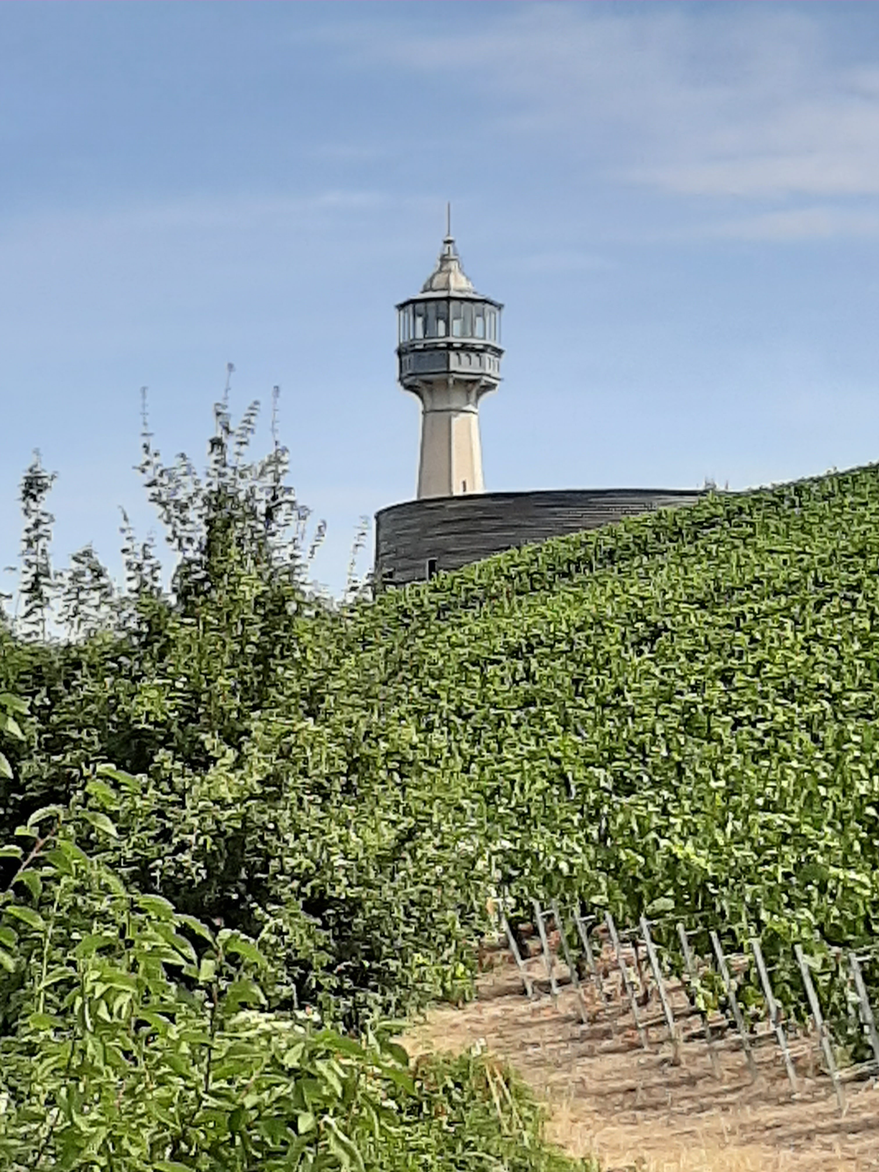 Photo n° 7 de l'avis de Xavier.e fait le 15/08/2019 à 11:14