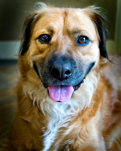 King Rhodes & Associates, Inc.