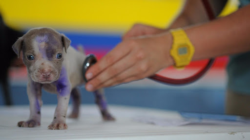 Centro Veterinario Laykat en Salteras