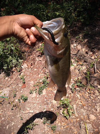 Golf Course «Cedar Creek Golf Course», reviews and photos, 8250 Vista Colina, San Antonio, TX 78255, USA