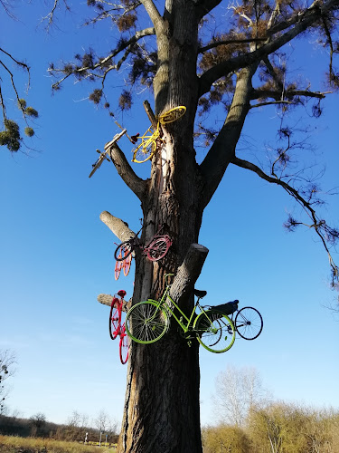 "Tavaink által" Tatabánya-Oroszlány kerékpárút Kecskéd-Majk közötti szakasza - Kecskéd