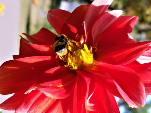 Shopping Mall «Orange Promenade Shopping Ctr», reviews and photos, 80 Boston Post Rd, Orange, CT 06477, USA