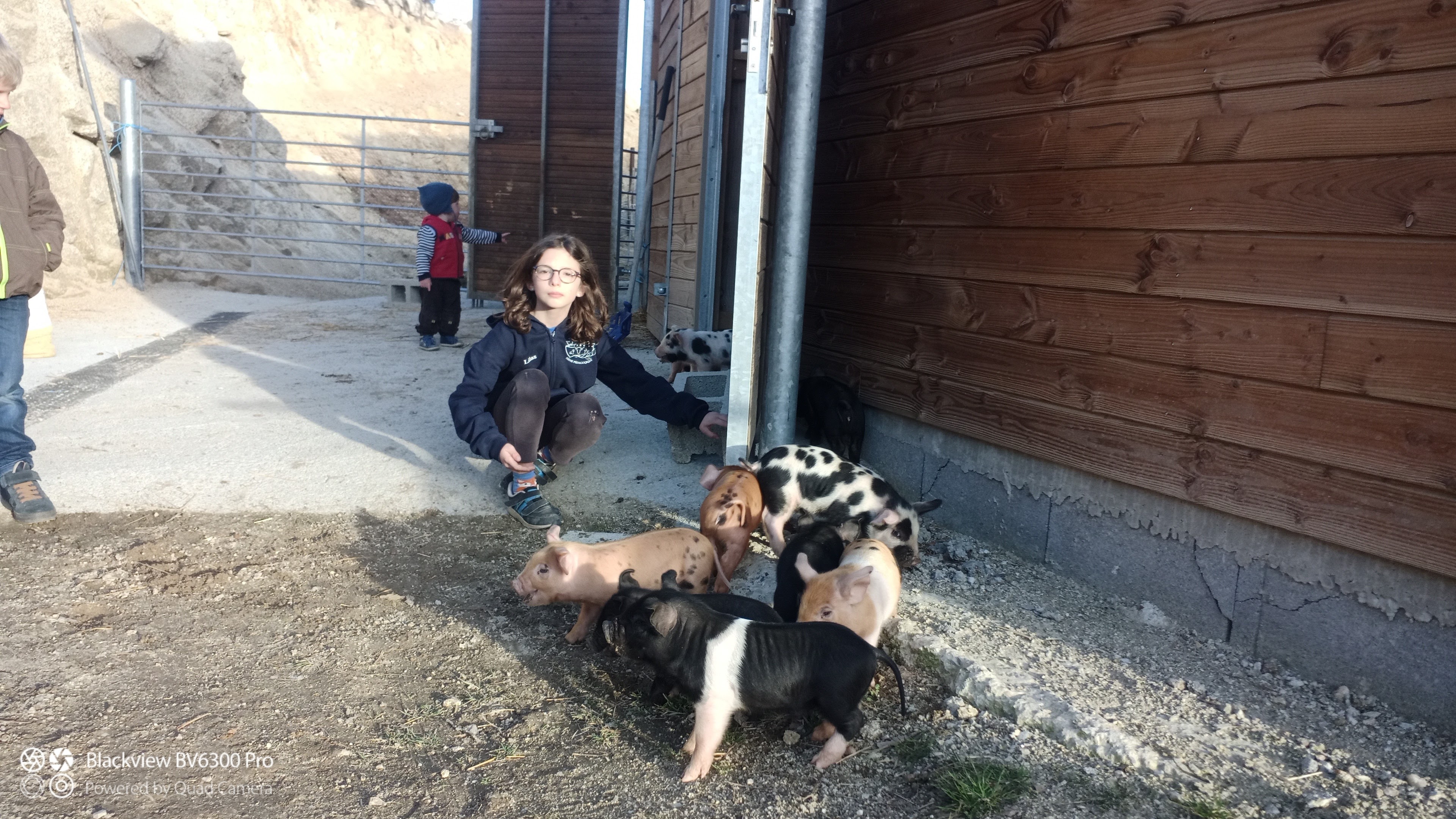 Photo n° 32 de l'avis de Laurent.o fait le 20/11/2023 à 22:32