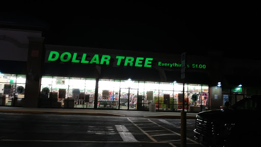 Dollar Store «Dollar Tree», reviews and photos, 1154 Hinkle Dr a, Wadsworth, OH 44281, USA