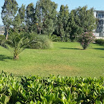 Photo n°2 de l'avis de Vincenzo.a fait le 30/07/2017 à 15:24 sur le  Apartments La Marina à Mandatoriccio