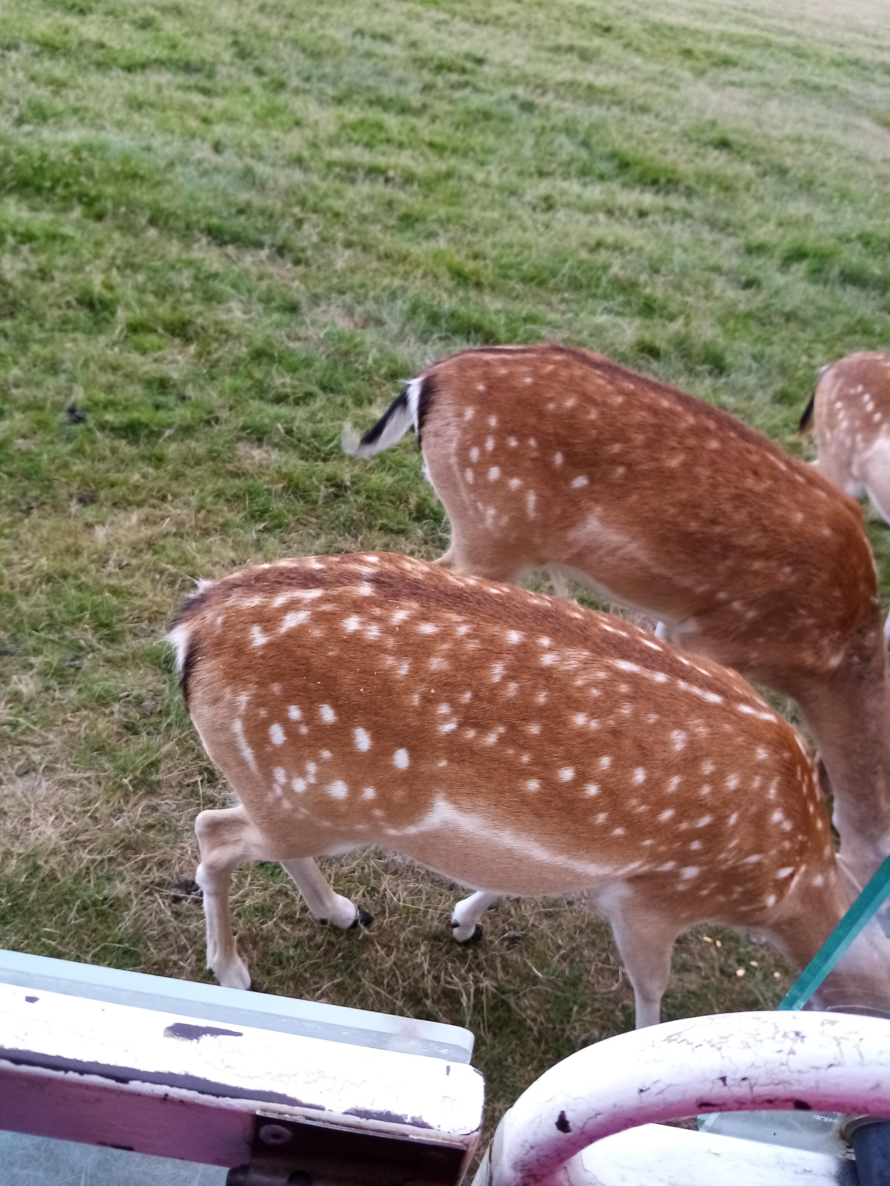Photo n° 27 de l'avis de Aurelie.u fait le 17/08/2021 à 19:49