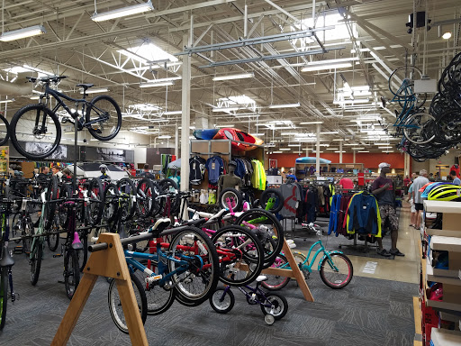 Bicycle stores Cincinnati
