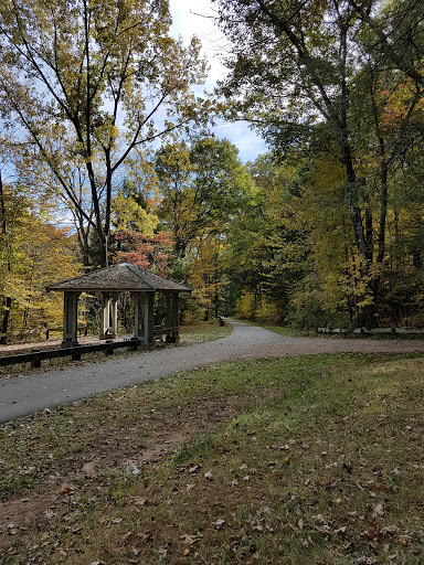 Live Music Venue «Saratoga Performing Arts Center», reviews and photos, 108 Avenue of the Pines, Saratoga Springs, NY 12866, USA