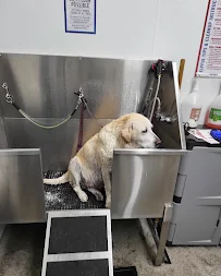 Tractor Supply Co. - Car repair in Yuba City, CA, Yuba City - Rated 4.4/5