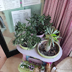 Photo n°14 de l'avis de Giacomo.o fait le 27/04/2021 à 21:38 sur le  La Genovese à Magliolo