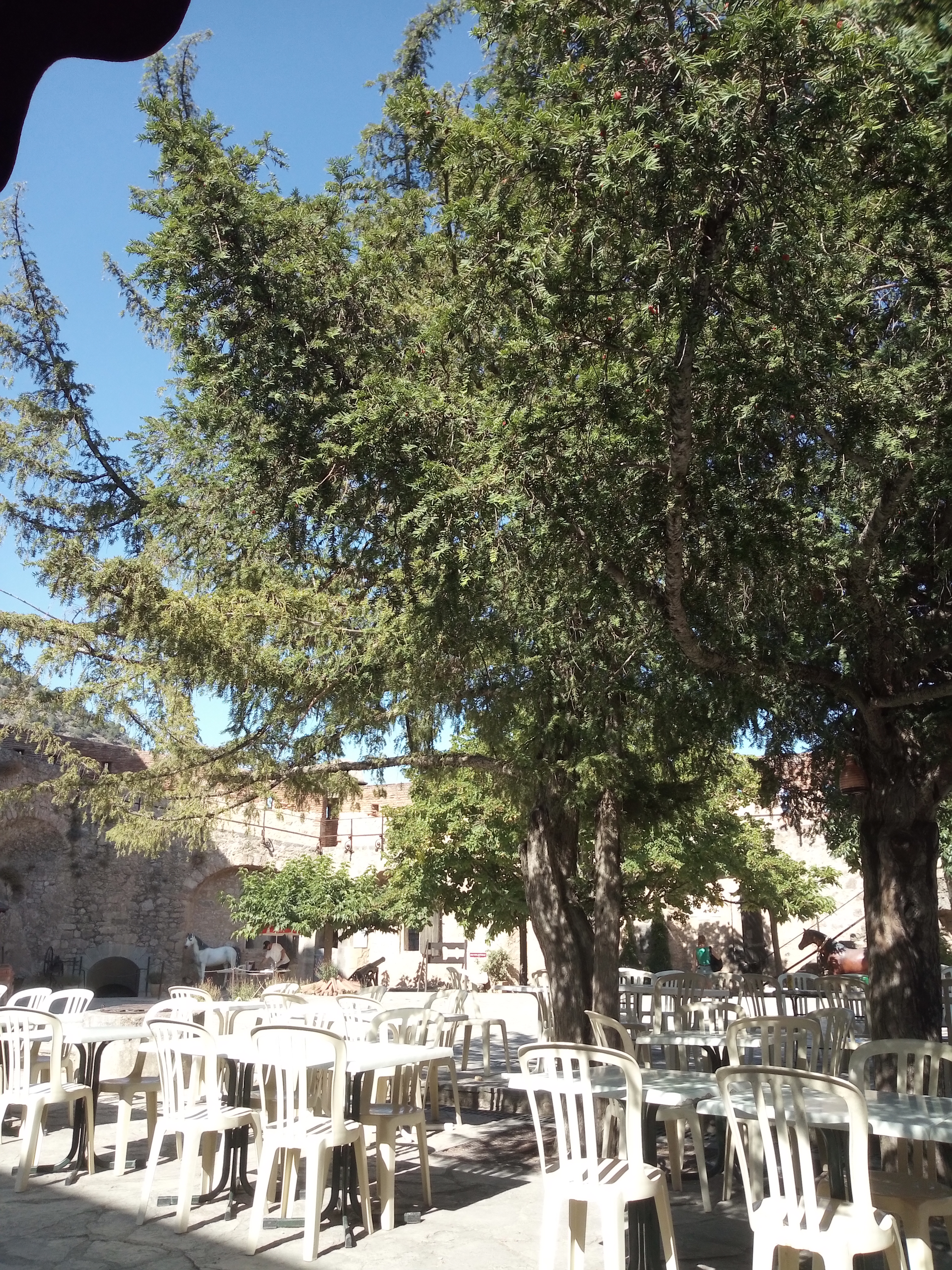 Photo n° 2 de l'avis de Sophie.a fait le 17/08/2023 à 07:37