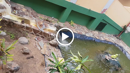 CEIP Fernando León y Castillo, Institución educativa pública en Telde,Las Palmas