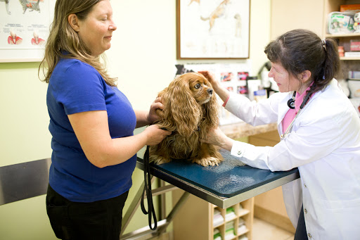 Summeridge Animal Clinic image