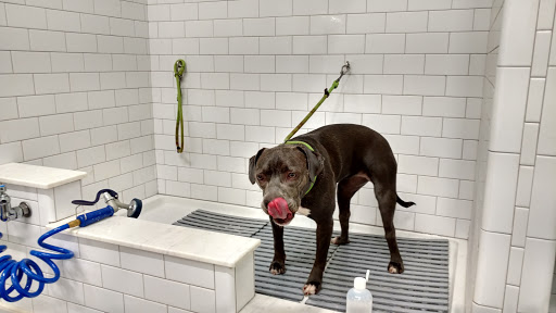 Pet Supply Store «Northside Grange», reviews and photos, 4116 Hamilton Ave, Cincinnati, OH 45223, USA