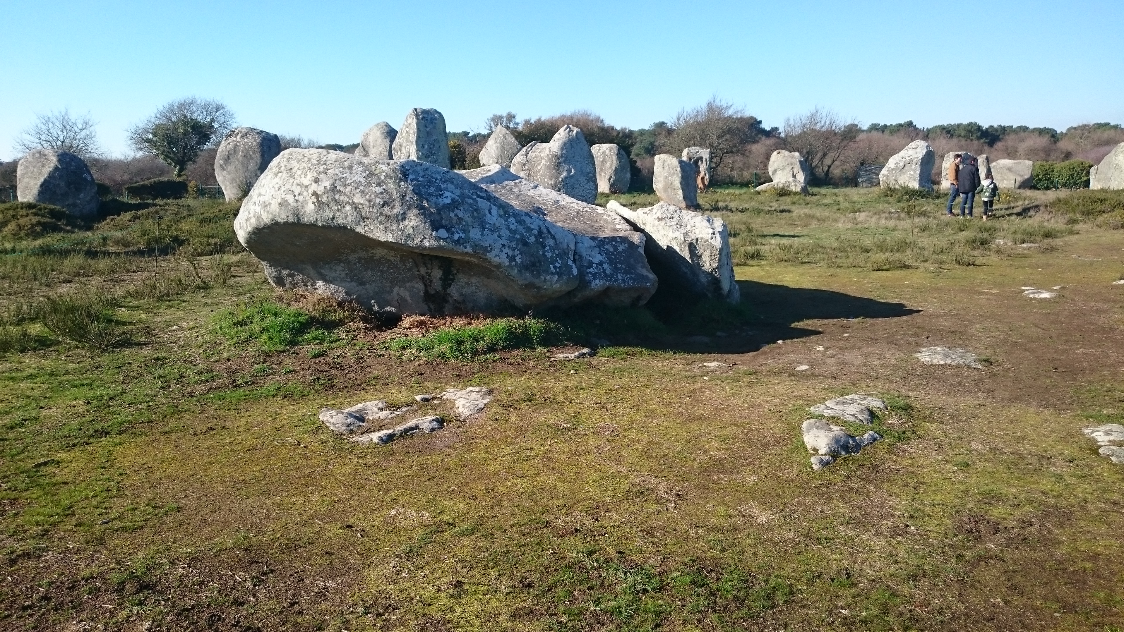 Photo n° 1 de l'avis de Alexandre.O fait le 20/10/2018 à 07:50