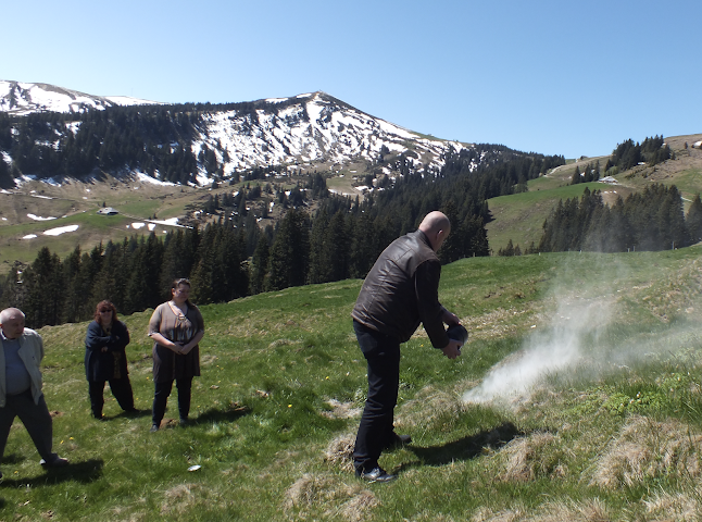 Schweizer Naturbestattung Öffnungszeiten