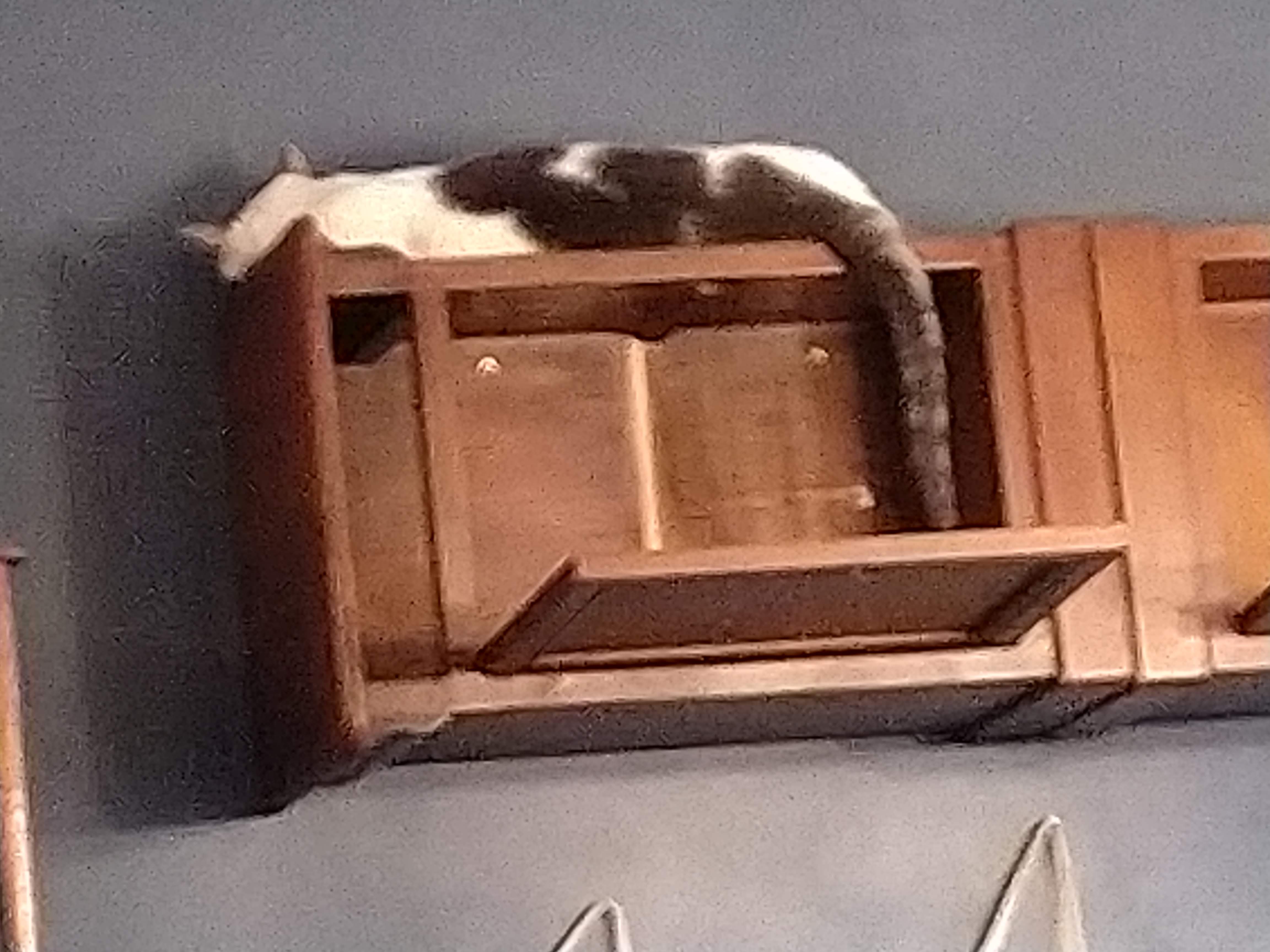 Photo n° 12 de l'avis de M... fait le 23/06/2019 à 19:26
