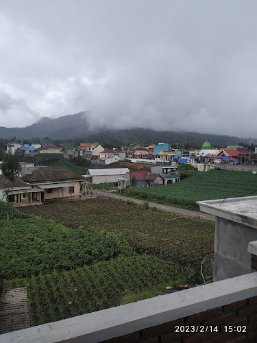 Rumah Wisata di Kabupaten Lumajang: Temukan Jumlah Tempat Wisata Homestay yang Menarik