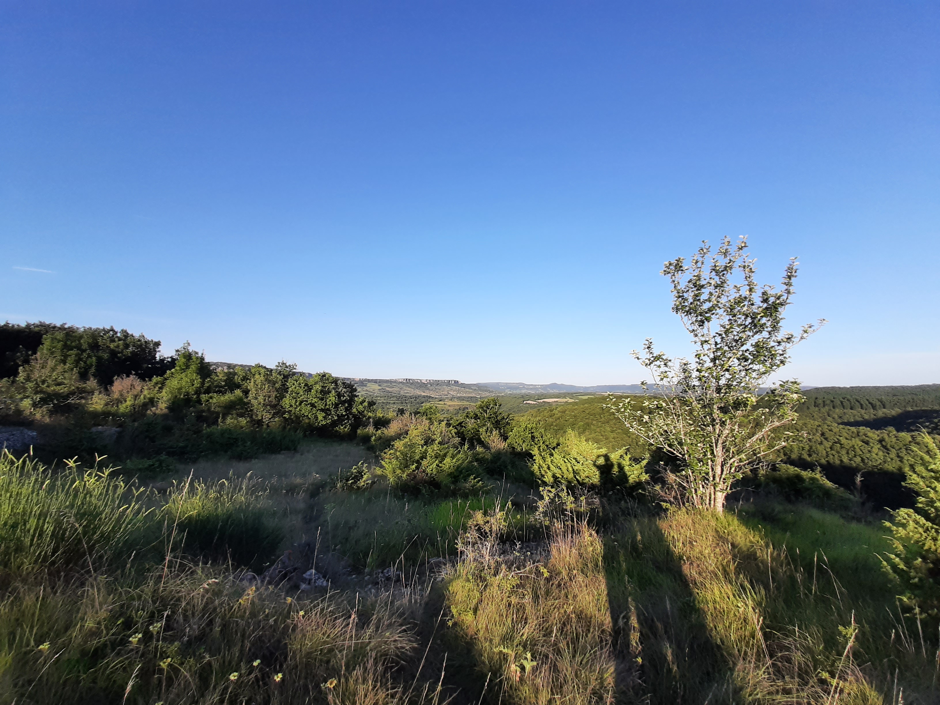 Photo n° 4 de l'avis de Doralin.u fait le 09/08/2021 à 18:12