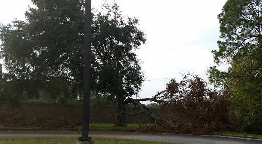 Post Office «United States Postal Service», reviews and photos, 500 Bill France Blvd, Daytona Beach, FL 32114, USA