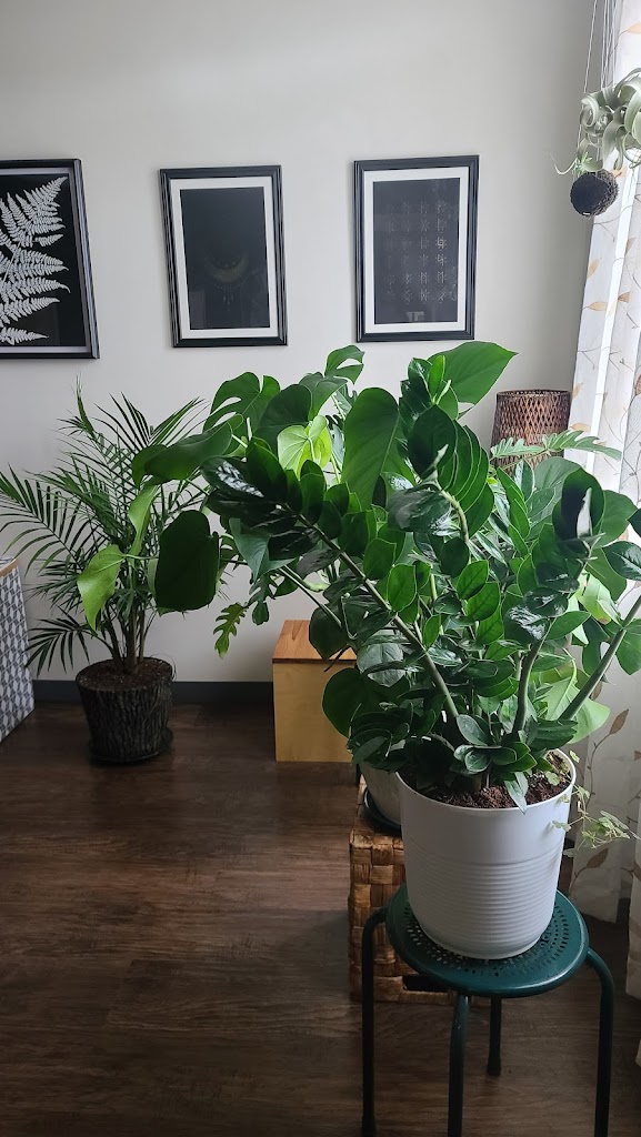 Green Veggie Babe 03054