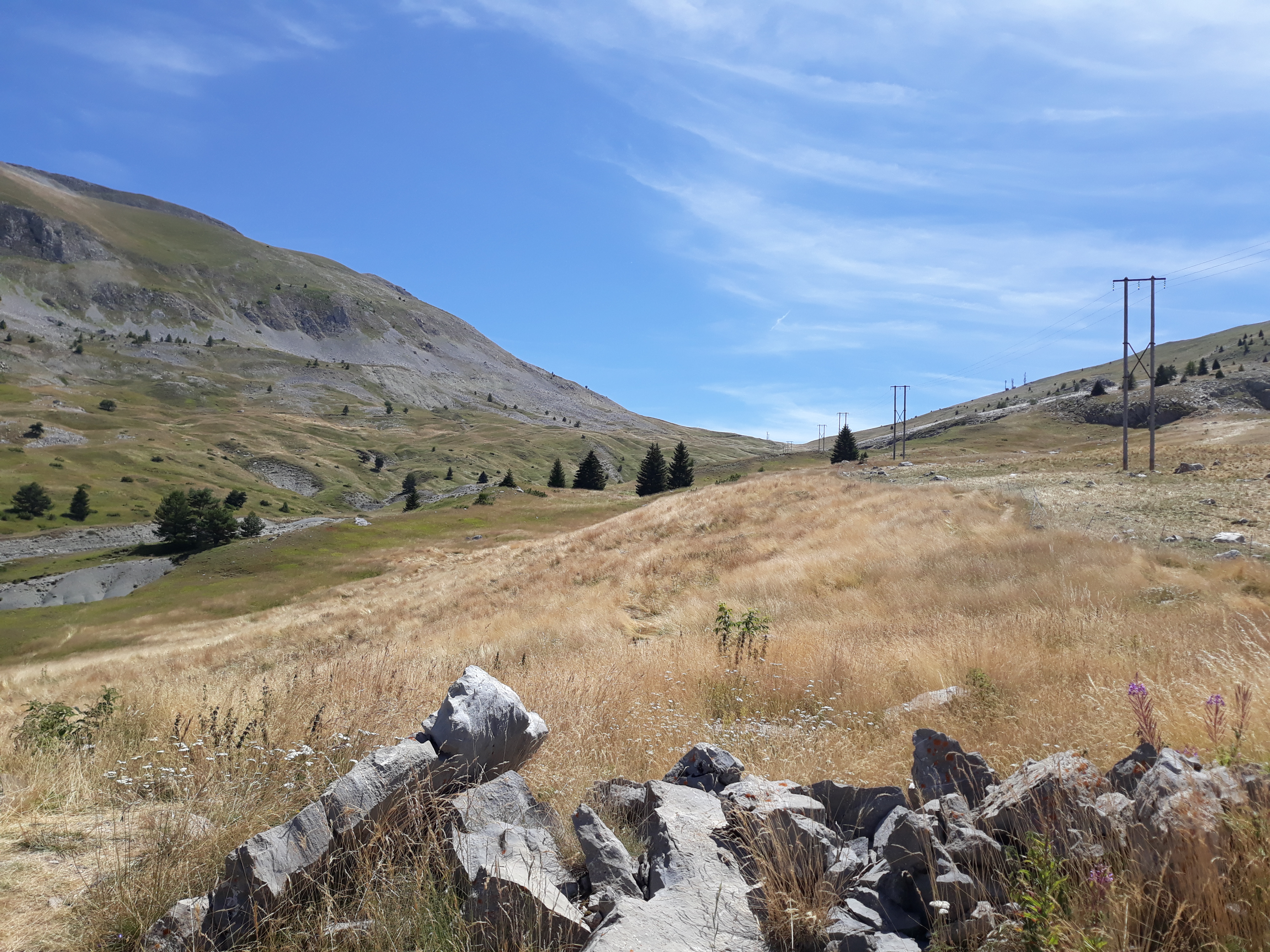 Photo n° 50 de l'avis de Thierry.h fait le 12/08/2023 à 21:09