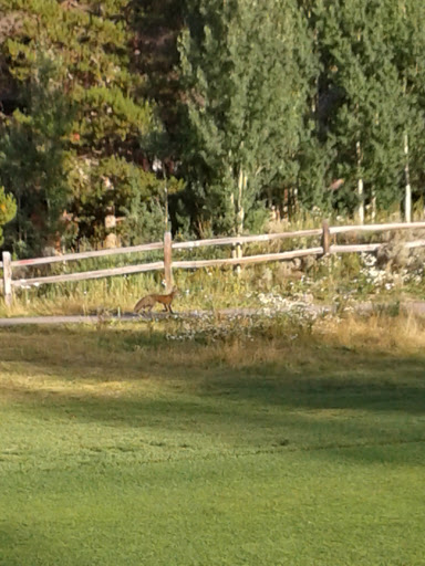 Golf Course «Breckenridge Golf Club», reviews and photos, 200 Clubhouse Dr, Breckenridge, CO 80424, USA