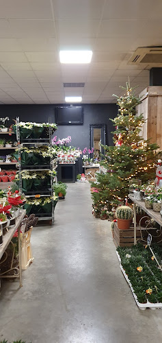 Bloemenhal Sint-Truiden - Luik