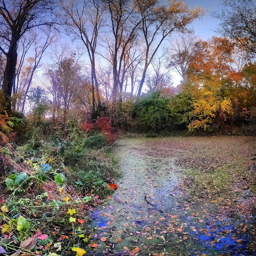 Nature Preserve «Westwood Hills Nature Center», reviews and photos, 8300 W Franklin Ave, St Louis Park, MN 55426, USA