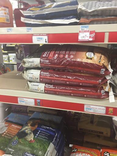 Home Improvement Store «Tractor Supply Co.», reviews and photos, 540 Water St #100, Chardon, OH 44024, USA