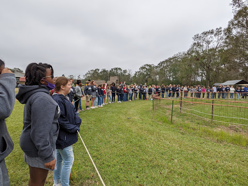 Tourist Attraction «Cajun Country Corn», reviews and photos, 40833 LA-16, Amite City, LA 70422, USA