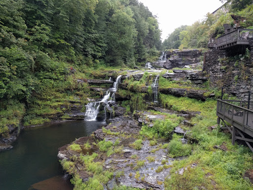 Grocery Store «Mill Market», reviews and photos, 8 Old Rte 6, Hawley, PA 18428, USA