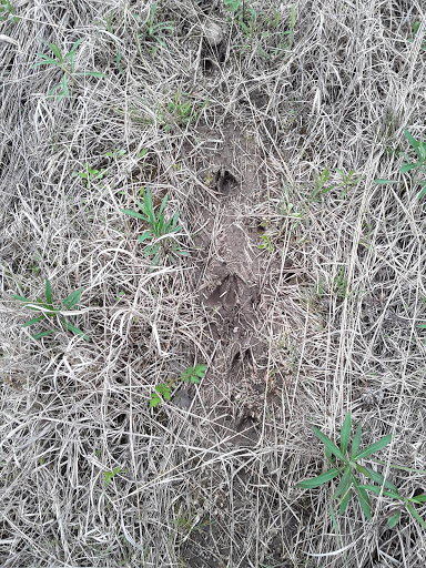 Bird Watching Area «Jelke Creek Bird Sanctuary», reviews and photos, Boncosky Rd, Dundee Township, IL 60118, USA