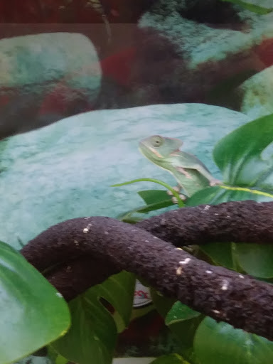 Pet Supply Store «Petco Animal Supplies», reviews and photos, 4175 Dowlen Rd, Beaumont, TX 77706, USA