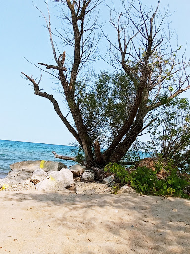 Park «Fort Gratiot County Park», reviews and photos, 3325 Metcalf Rd, Fort Gratiot Twp, MI 48059, USA