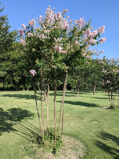 Park «The Crape Myrtle Trails of McKinney», reviews and photos, 6452 Collin McKinney Pkwy, McKinney, TX 75070, USA