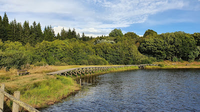 Etang de bonnecombe à Les Salces