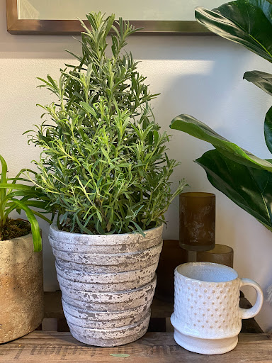 Home Goods Store «Rusted Window», reviews and photos, 99 E Carmel Dr Suite 140, Carmel, IN 46032, USA